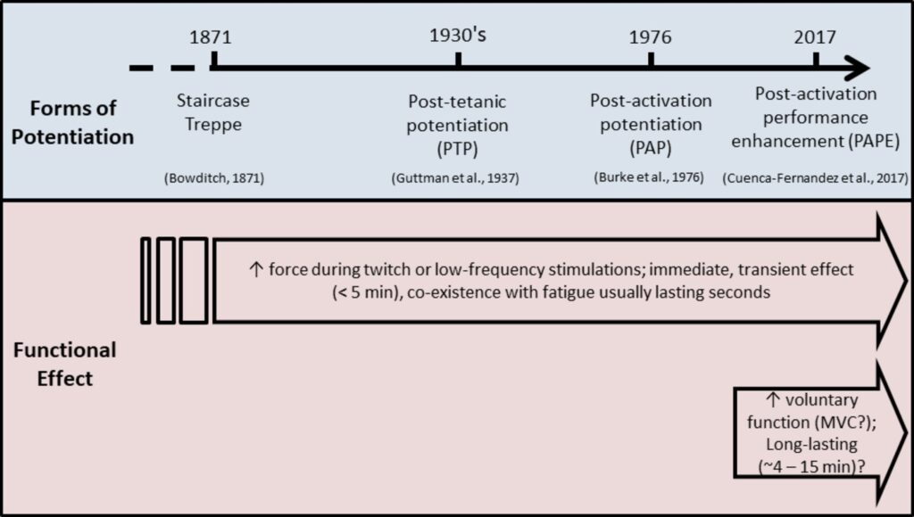 pap-history.-1024x580